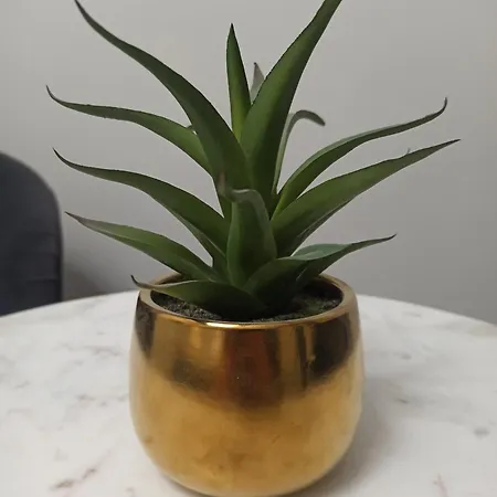 Gæstehus Le Mirage 4*