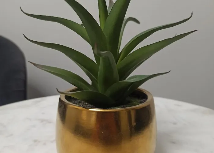 بيت ضيافة Le Mirage 4*