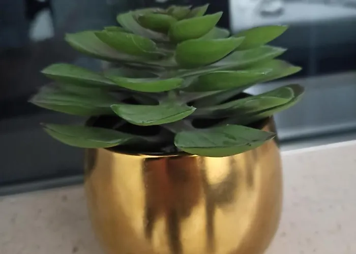 Le Mirage 4* 基耶蒂