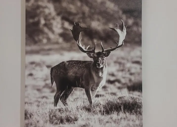 Le Mirage 4* 基耶蒂